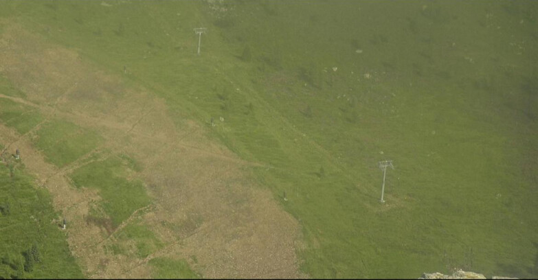 Webcam San Martino di Castrozza - Passo Rolle  - Tognola - Pista Cigolera