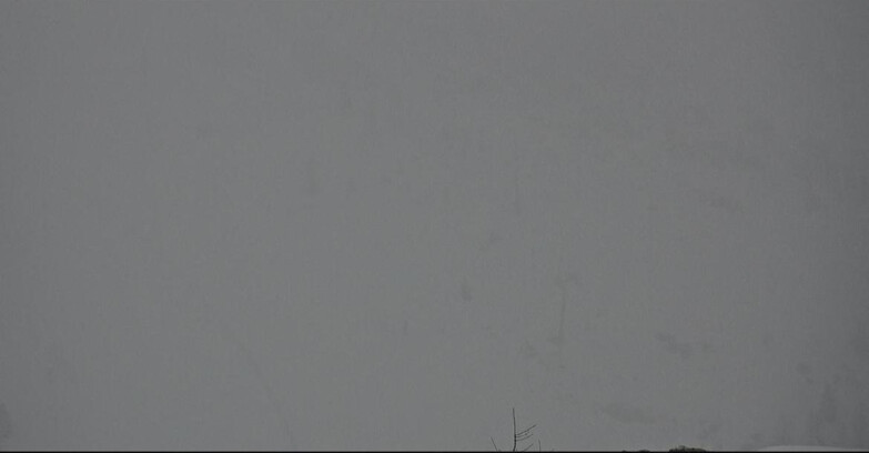 Webcam San Martino di Castrozza - Passo Rolle - Tognola - Pista Cigolera