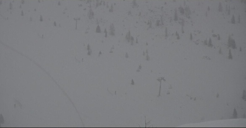 Webcam Сан-Мартино-ди-Кастроцца - Пассо-Ролле - Tognola - Pista Cigolera