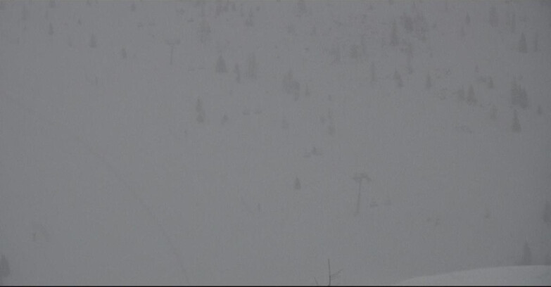 Webcam Сан-Мартино-ди-Кастроцца - Пассо-Ролле - Tognola - Pista Cigolera