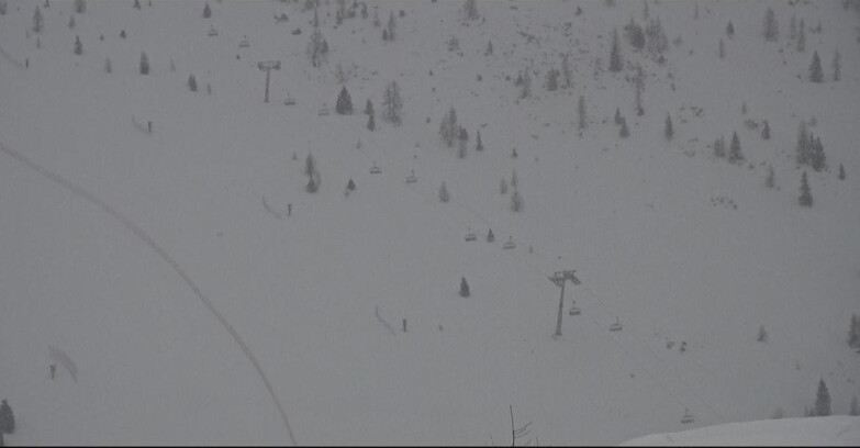 Webcam Сан-Мартино-ди-Кастроцца - Пассо-Ролле - Tognola - Pista Cigolera