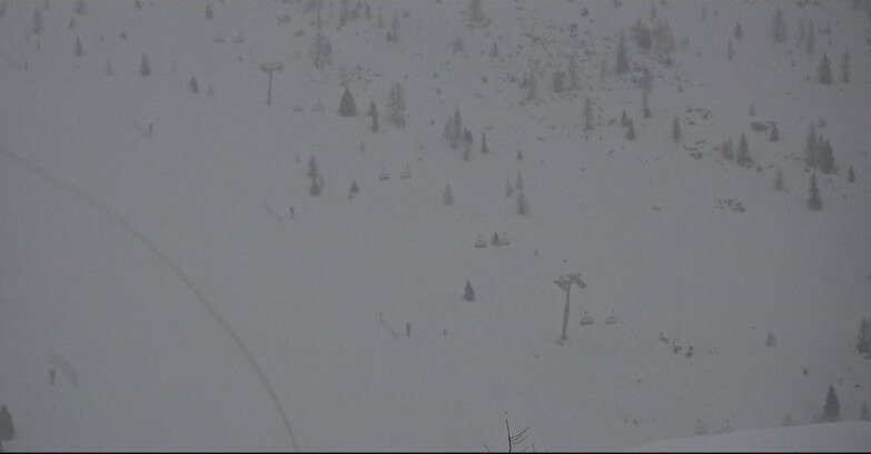 Webcam Сан-Мартино-ди-Кастроцца - Пассо-Ролле - Tognola - Pista Cigolera