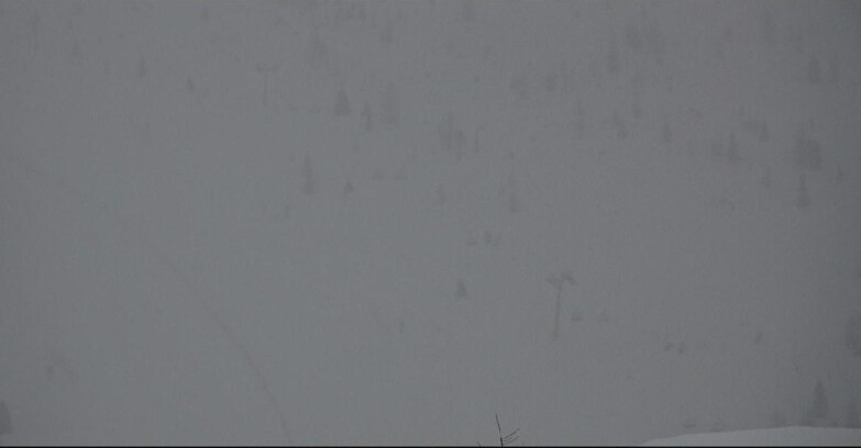 Webcam San Martino di Castrozza - Passo Rolle - Tognola - Pista Cigolera