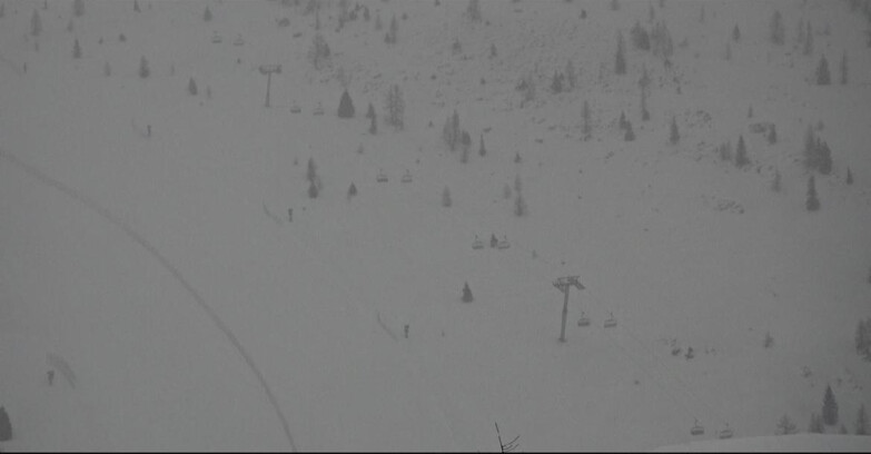 Webcam San Martino di Castrozza - Passo Rolle - Tognola - Pista Cigolera