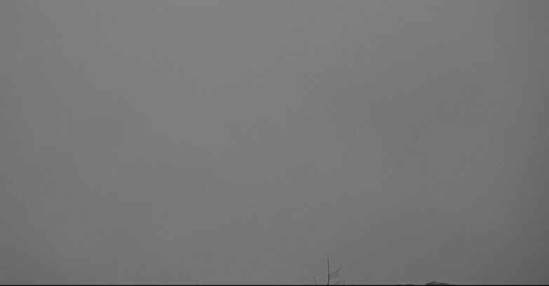 Webcam San Martino di Castrozza - Passo Rolle  - Tognola - Pista Cigolera