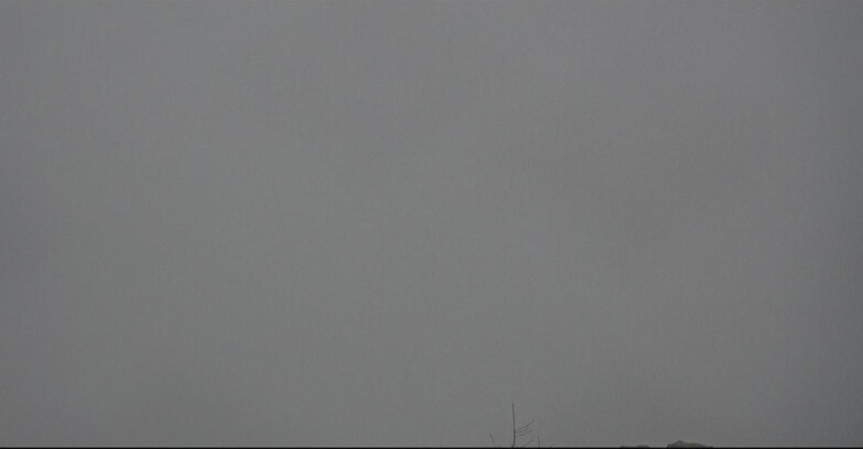 Webcam San Martino di Castrozza - Passo Rolle  - Tognola - Pista Cigolera