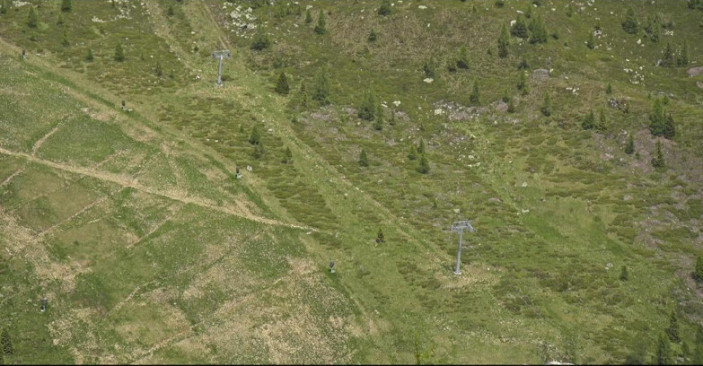 Webcam San Martino di Castrozza - Passo Rolle - Tognola - Pista Cigolera