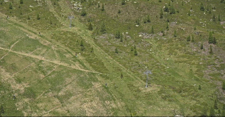 Webcam San Martino di Castrozza - Passo Rolle - Tognola - Pista Cigolera