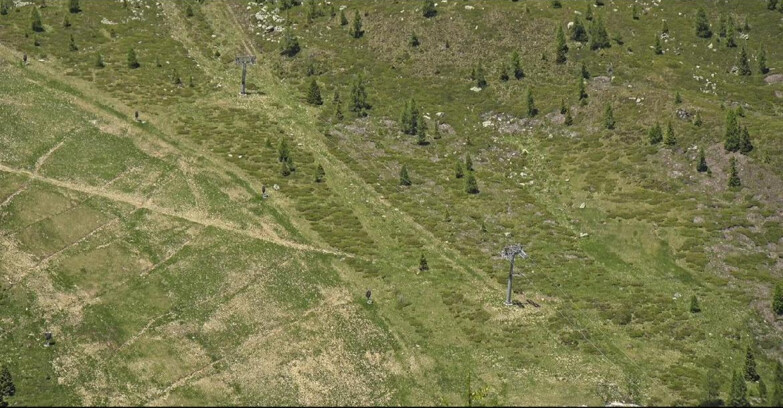 Webcam San Martino di Castrozza - Passo Rolle - Tognola - Pista Cigolera