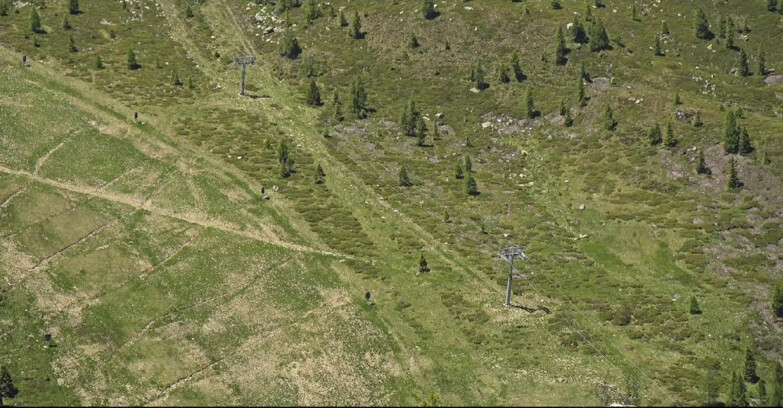Webcam San Martino di Castrozza - Passo Rolle - Tognola - Pista Cigolera