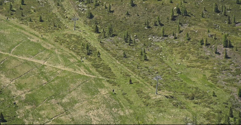 Webcam San Martino di Castrozza - Passo Rolle - Tognola - Pista Cigolera