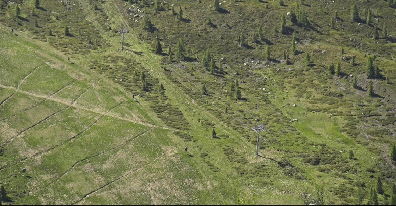Webcam San Martino di Castrozza - Passo Rolle - Tognola - Pista Cigolera