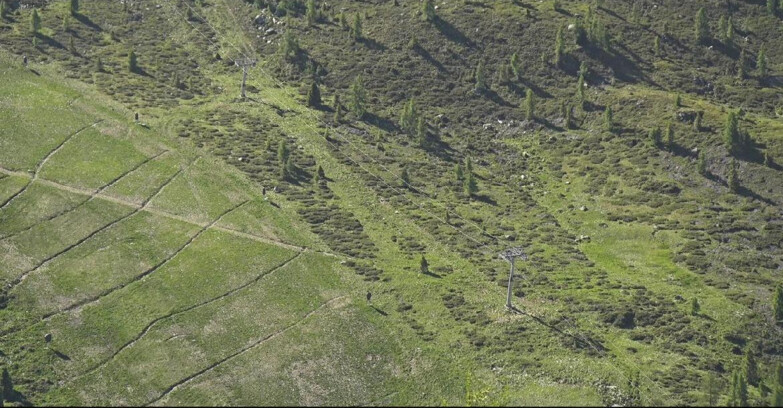 Webcam San Martino di Castrozza - Passo Rolle - Tognola - Pista Cigolera