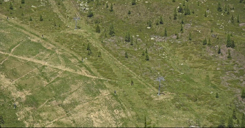 Webcam San Martino di Castrozza - Passo Rolle - Tognola - Pista Cigolera