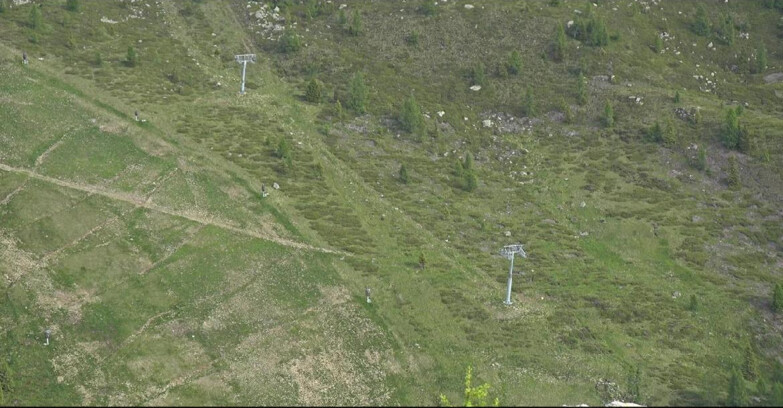 Webcam San Martino di Castrozza - Passo Rolle - Tognola - Pista Cigolera