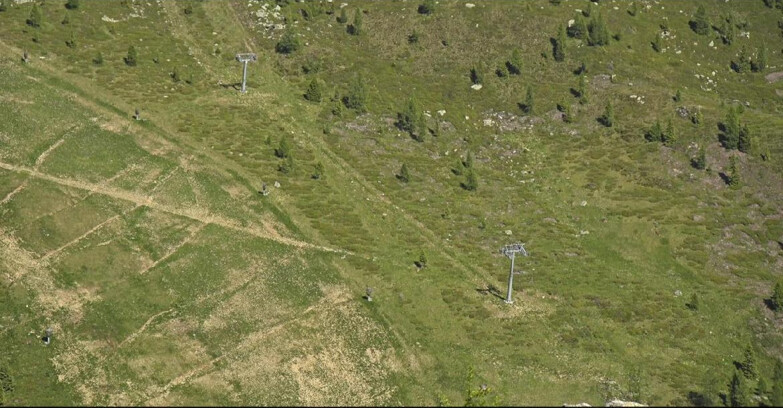Webcam San Martino di Castrozza - Passo Rolle  - Tognola - Pista Cigolera