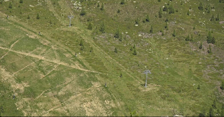 Webcam San Martino di Castrozza - Passo Rolle  - Tognola - Pista Cigolera