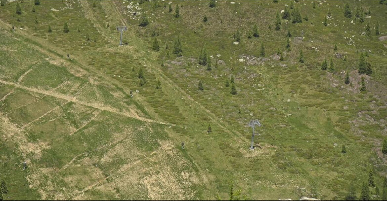 Webcam San Martino di Castrozza - Passo Rolle - Tognola - Pista Cigolera