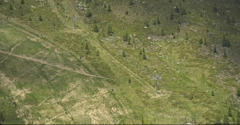 Webcam San Martino di Castrozza - Passo Rolle - Tognola - Pista Cigolera
