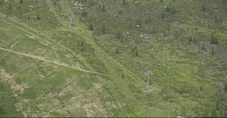 Webcam San Martino di Castrozza - Passo Rolle - Tognola - Pista Cigolera
