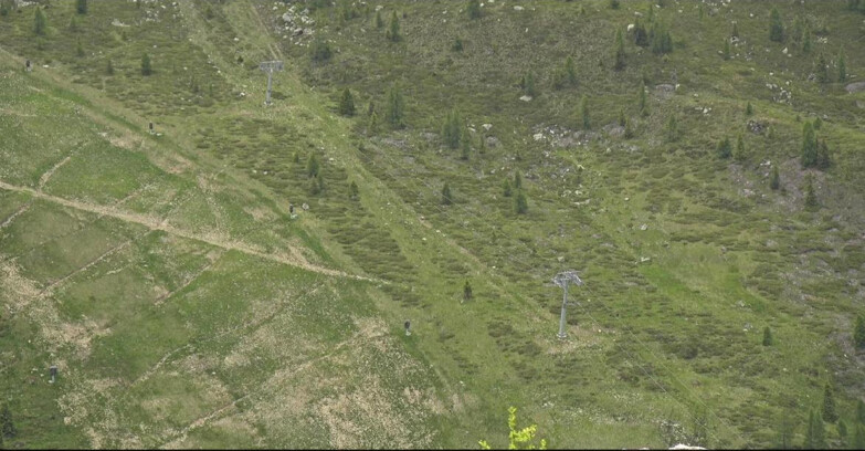 Webcam San Martino di Castrozza - Passo Rolle - Tognola - Pista Cigolera