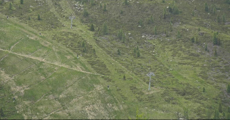 Webcam San Martino di Castrozza - Passo Rolle - Tognola - Pista Cigolera