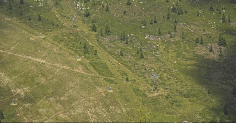 Webcam San Martino di Castrozza - Passo Rolle - Tognola - Pista Cigolera