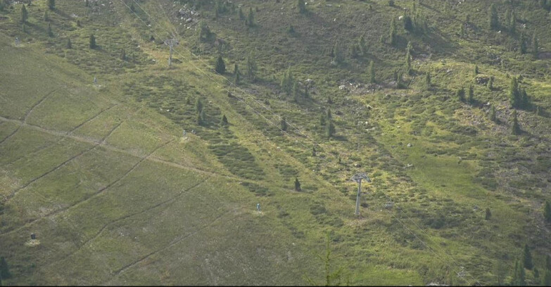 Webcam San Martino di Castrozza - Passo Rolle - Tognola - Pista Cigolera