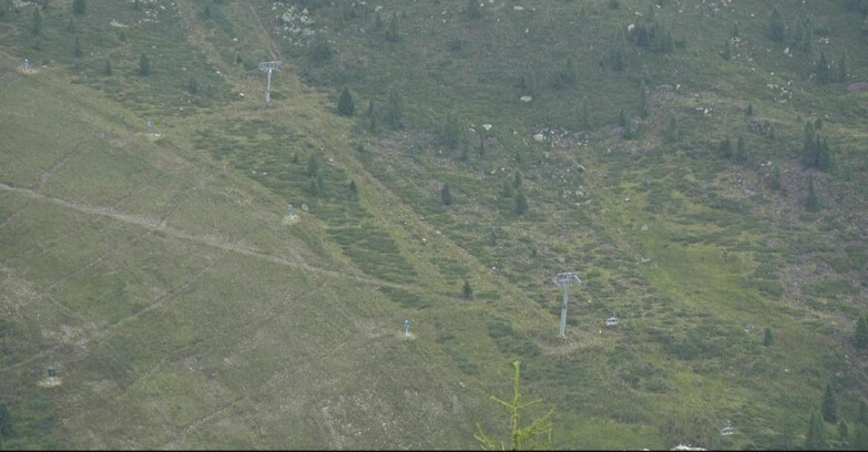 Webcam San Martino di Castrozza - Passo Rolle - Tognola - Pista Cigolera