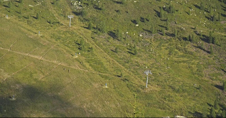 Webcam San Martino di Castrozza - Passo Rolle - Tognola - Pista Cigolera