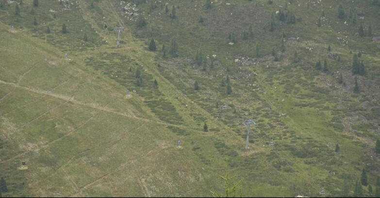 Webcam San Martino di Castrozza - Passo Rolle  - Tognola - Pista Cigolera