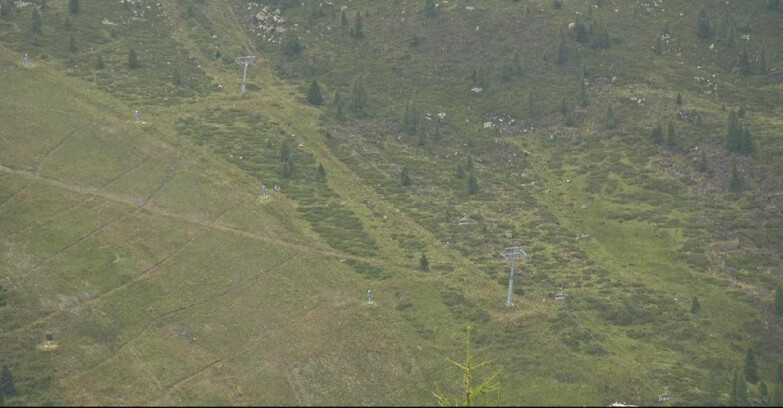 Webcam San Martino di Castrozza - Passo Rolle  - Tognola - Pista Cigolera