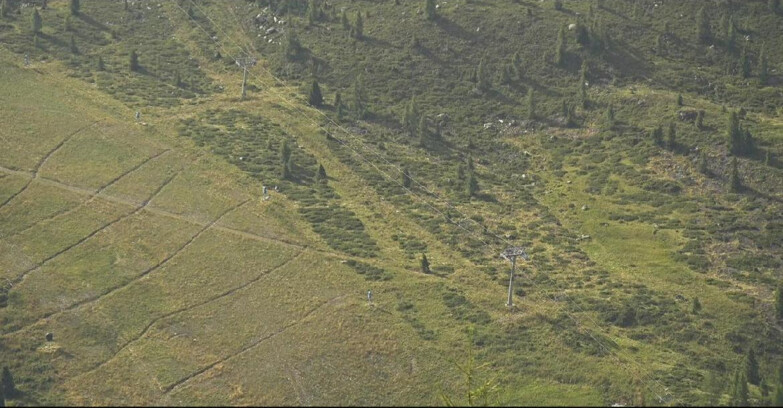 Webcam San Martino di Castrozza - Passo Rolle  - Tognola - Pista Cigolera