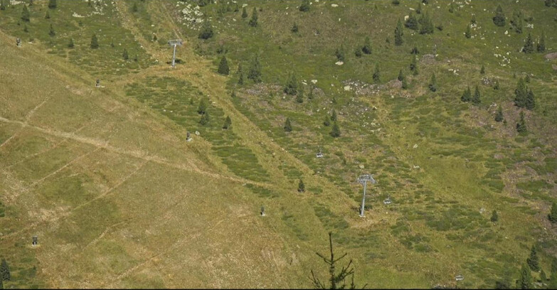 Webcam Сан-Мартино-ди-Кастроцца - Пассо-Ролле - Tognola - Pista Cigolera