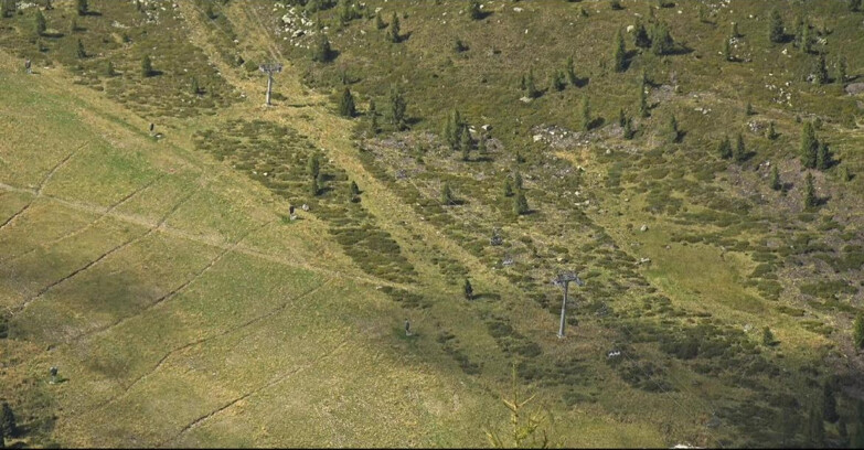 Webcam San Martino di Castrozza - Passo Rolle - Tognola - Pista Cigolera