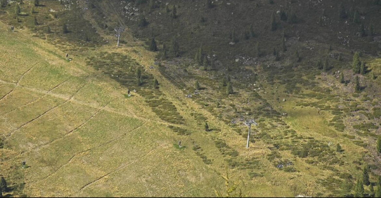 Webcam San Martino di Castrozza - Passo Rolle  - Tognola - Pista Cigolera