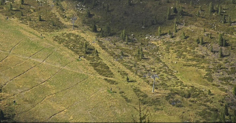 Webcam San Martino di Castrozza - Passo Rolle  - Tognola - Pista Cigolera