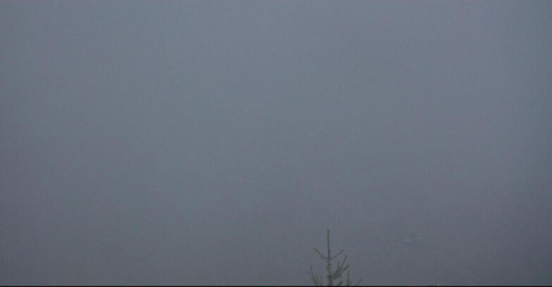 Webcam San Martino di Castrozza - Passo Rolle  - Tognola - Pista Cigolera