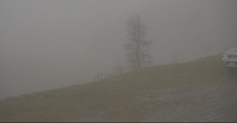 Webcam Сан-Мартино-ди-Кастроцца - Пассо-Ролле - Pista Tognola UNO Webcam Сан-Мартино-ди-Кастроцца - Пассо-Ролле - Pista Tognola UNO