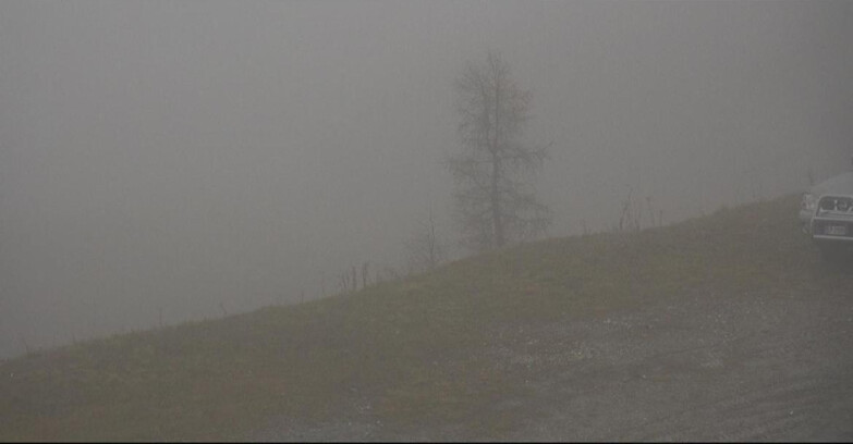 Webcam Сан-Мартино-ди-Кастроцца - Пассо-Ролле - Pista Tognola UNO Webcam Сан-Мартино-ди-Кастроцца - Пассо-Ролле - Pista Tognola UNO