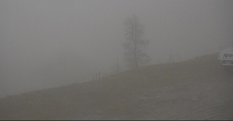 Webcam Сан-Мартино-ди-Кастроцца - Пассо-Ролле - Pista Tognola UNO Webcam Сан-Мартино-ди-Кастроцца - Пассо-Ролле - Pista Tognola UNO