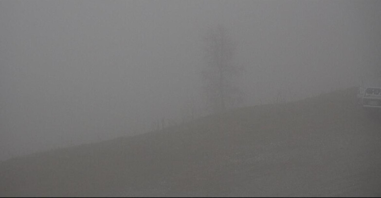 Webcam Сан-Мартино-ди-Кастроцца - Пассо-Ролле - Pista Tognola UNO Webcam Сан-Мартино-ди-Кастроцца - Пассо-Ролле - Pista Tognola UNO