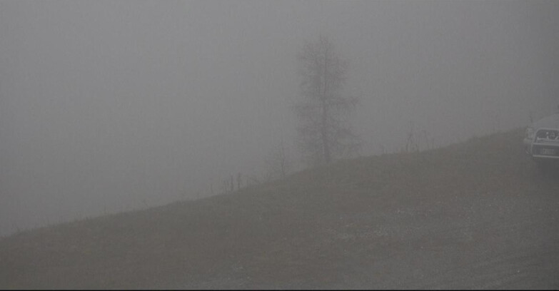 Webcam Сан-Мартино-ди-Кастроцца - Пассо-Ролле - Pista Tognola UNO Webcam Сан-Мартино-ди-Кастроцца - Пассо-Ролле - Pista Tognola UNO