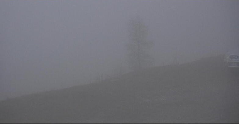 Webcam Сан-Мартино-ди-Кастроцца - Пассо-Ролле - Pista Tognola UNO Webcam Сан-Мартино-ди-Кастроцца - Пассо-Ролле - Pista Tognola UNO