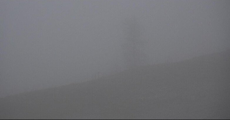 Webcam Сан-Мартино-ди-Кастроцца - Пассо-Ролле - Pista Tognola UNO Webcam Сан-Мартино-ди-Кастроцца - Пассо-Ролле - Pista Tognola UNO