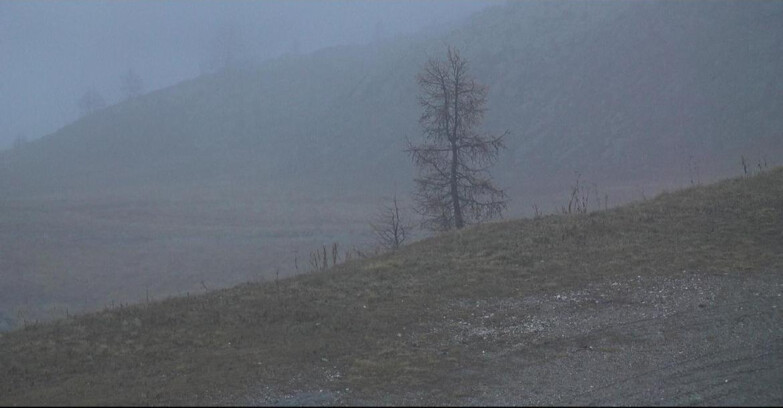 Webcam Сан-Мартино-ди-Кастроцца - Пассо-Ролле - Pista Tognola UNO Webcam Сан-Мартино-ди-Кастроцца - Пассо-Ролле - Pista Tognola UNO