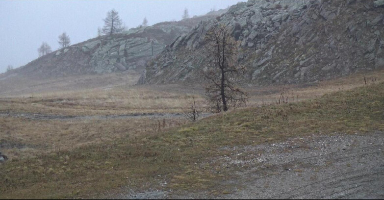 Webcam Сан-Мартино-ди-Кастроцца - Пассо-Ролле - Pista Tognola UNO Webcam Сан-Мартино-ди-Кастроцца - Пассо-Ролле - Pista Tognola UNO