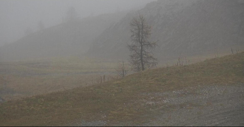 Webcam Сан-Мартино-ди-Кастроцца - Пассо-Ролле - Pista Tognola UNO Webcam Сан-Мартино-ди-Кастроцца - Пассо-Ролле - Pista Tognola UNO