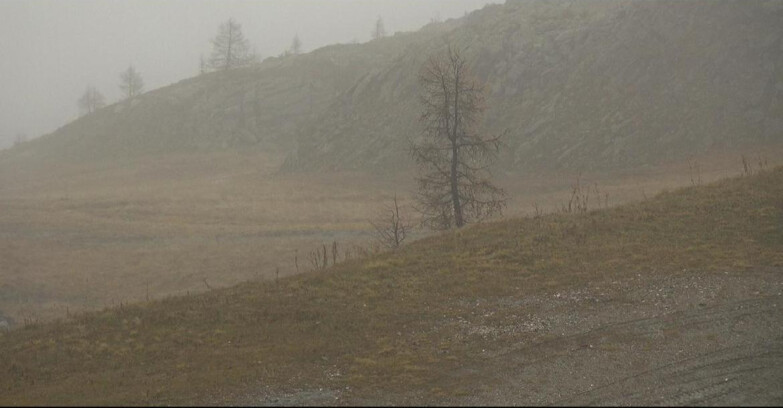 Webcam Сан-Мартино-ди-Кастроцца - Пассо-Ролле - Pista Tognola UNO Webcam Сан-Мартино-ди-Кастроцца - Пассо-Ролле - Pista Tognola UNO