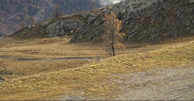 Webcam San Martino di Castrozza - Passo Rolle - Pista Tognola UNO